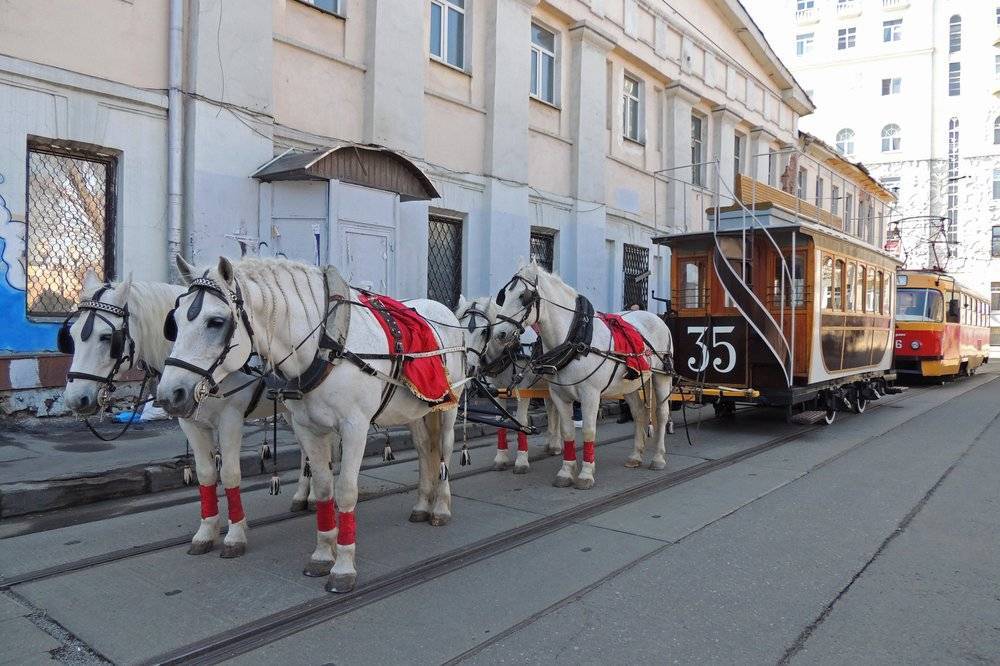 Как Москва отмечает День транспорта