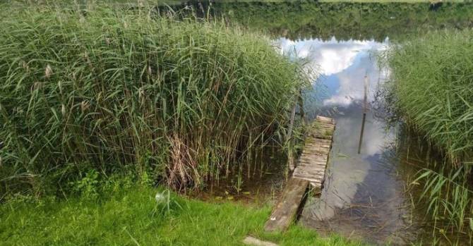 В Бешенковичском районе в озере нашли тело 60-летнего дачника