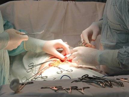 В Минздраве рассказали, сколько органов пересадили врачи Башкирии пациентам