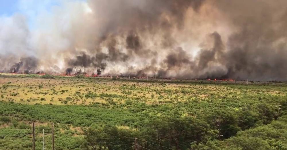 На Гавайях объявлен режим ЧС из-за природных пожаров.