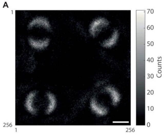 Ученые опубликовали первый в истории снимок квантовой запутанности