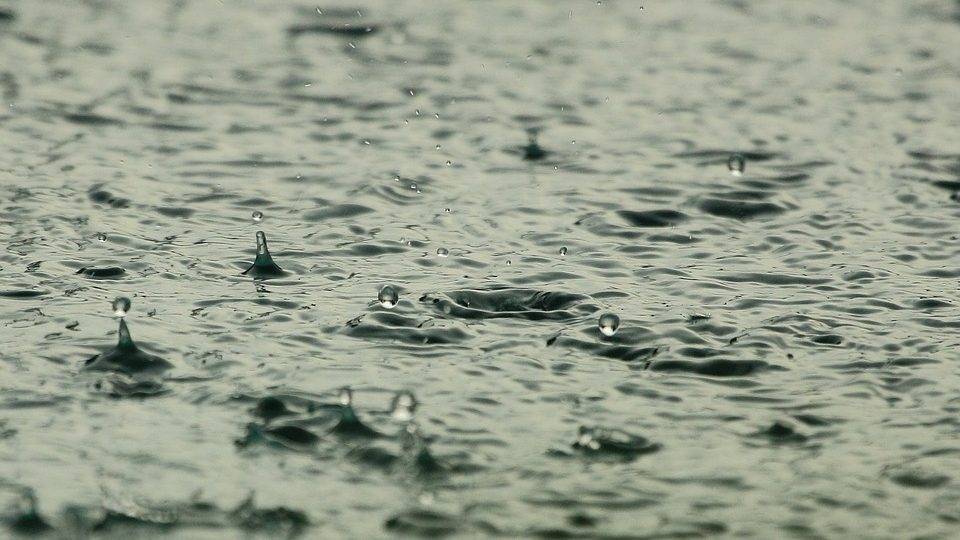 Господство дождей: синоптики рассказали о погоде в Рязани на следующей неделе | РИА «7 новостей»