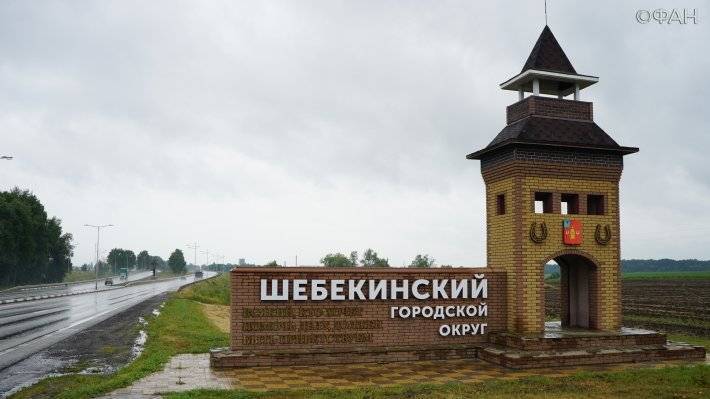 В Белгородской области нашли сомнительные закупки на 200 миллионов рублей