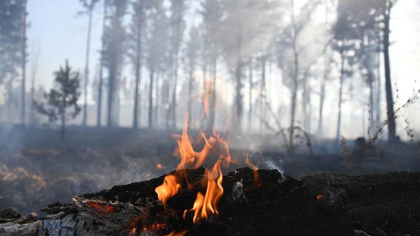 В Красноярске из-за лесных пожаров зафиксировано загрязнение воздуха — РТ на русском