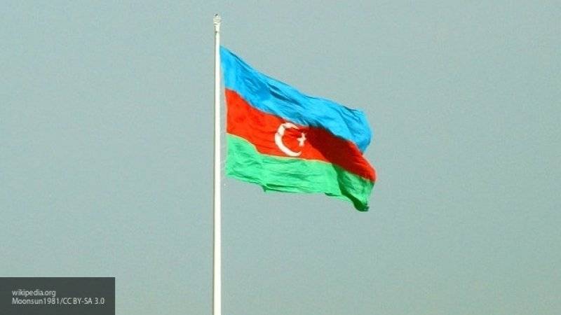 Двое россиян пострадали при падении ветки дерева в Азербайджане
