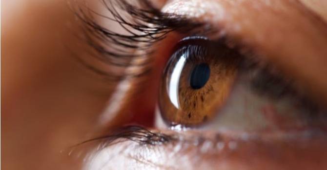 В США ученые изобрели имплант, способный вернуть зрение слепым