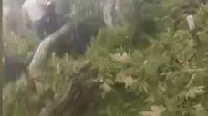 СКР показал видео с места ДТП с 6 погибшими в Башкирии.