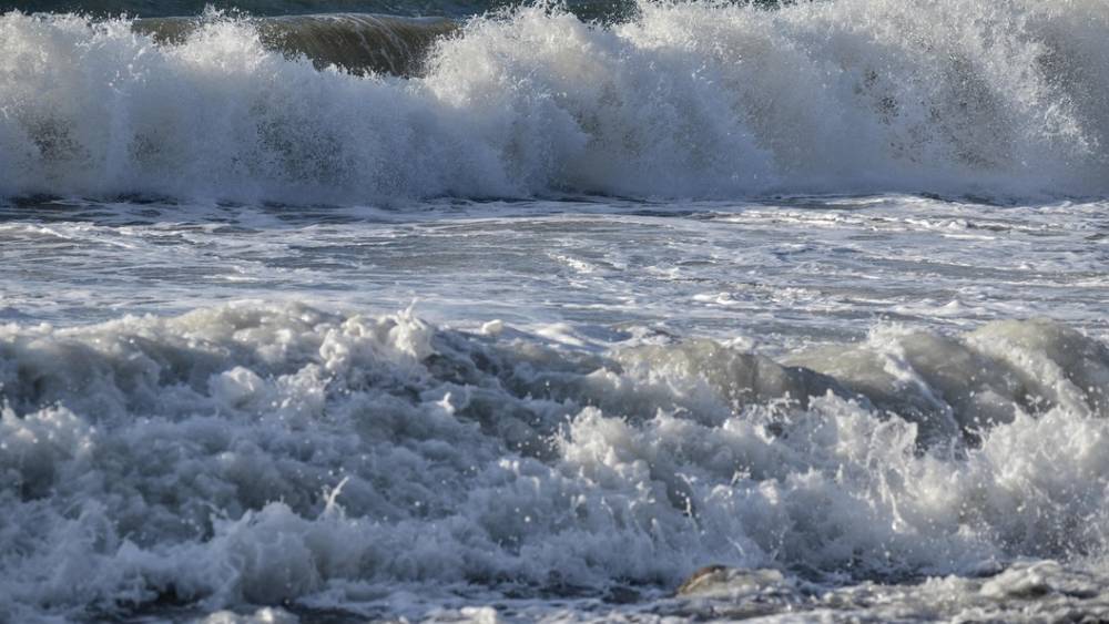 Дело не в трусах: Одесский пляж с Зеленским ужаснул пользователей Сети