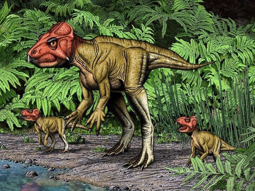Живший 115 миллионов лет назад аврорацератопс передвигался на двух ногах