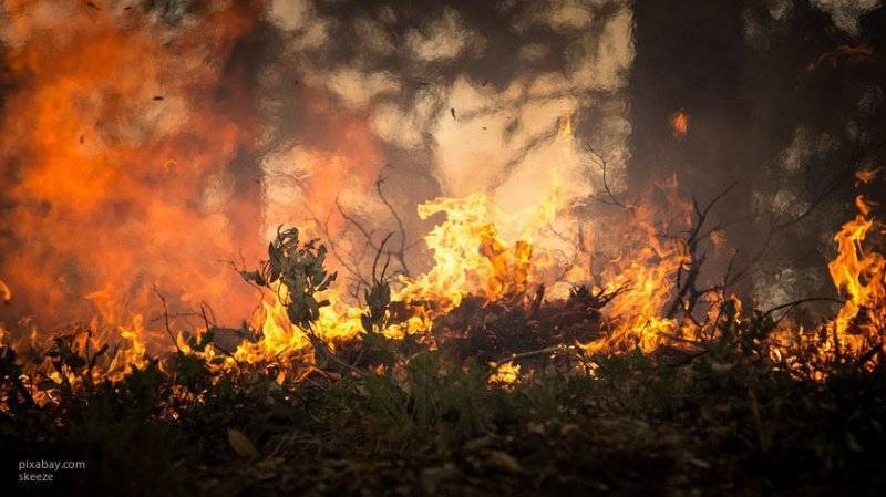 Дым от лесных пожаров рассеивается в Красноярском Крае