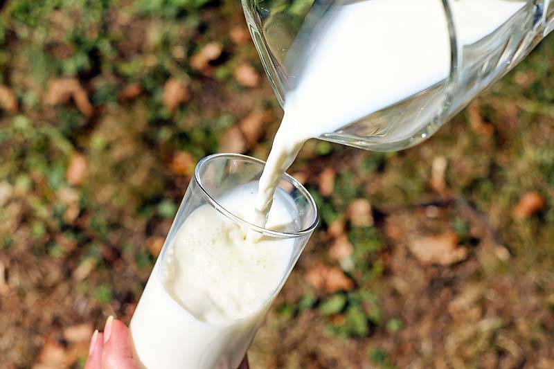 В Курганской области на прилавки торговых центров могло попасть небезопасное молоко