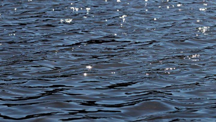 Эксперты установили, кому принадлежали найденные в водохранилище отрезанные ноги - Новости Воронежа