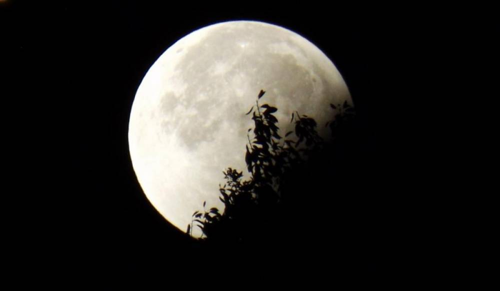 Петербуржцы смогут увидеть частное лунное затмение