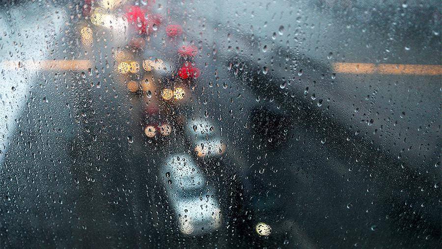 Москвичам пообещали затяжные дожди на этой неделе