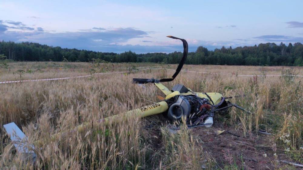 Глава Федерации сверхлёгкой авиации РФ погиб при крушении вертолета в Подмосковье