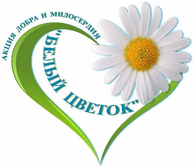 Рязанцев приглашают принять участие в межрегиональной благотворительной акции «Белый цветок» | РИА «7 новостей»
