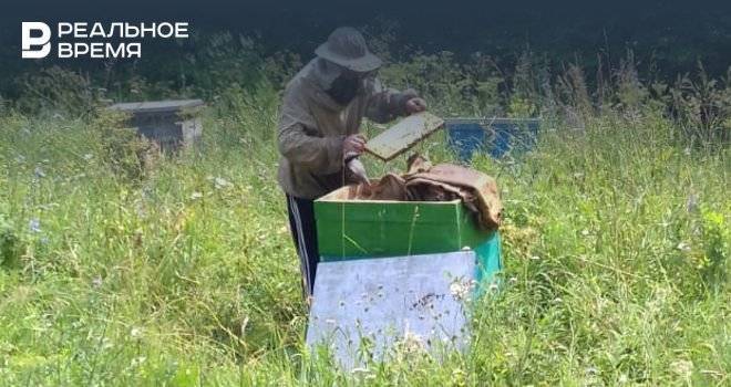 В Минэкономразвития РФ ответили на обвинения в причастности к массовой гибели пчел