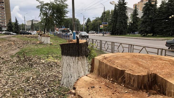 В Брянске Авиационную улицу оставили без деревьев и забора