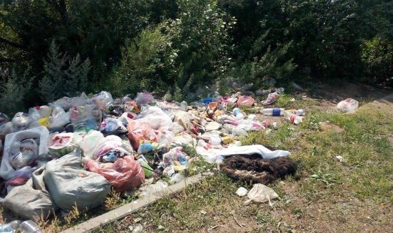 Министра Мирзагалиева опечалило состояние озер у Нур-Султана (фото)