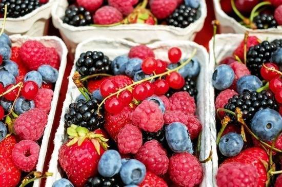 Госдума может рассмотреть проект о снижении НДС на плодово-ягодные культуры на этой неделе
