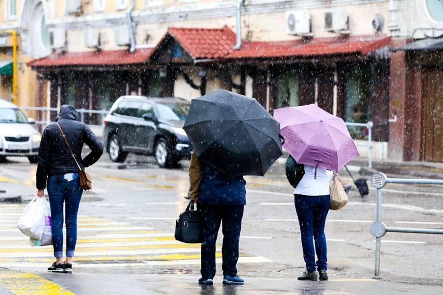 Дождливо: москвичам рассказали о погоде на понедельник