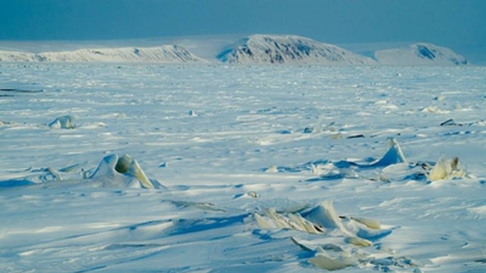Пока только одни лишайники: Ученые нашли в Антарктиде вход в "затерянный мир"