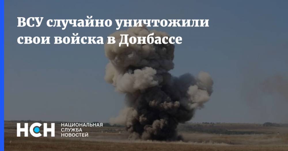 ВСУ случайно уничтожили свои войска в Донбассе