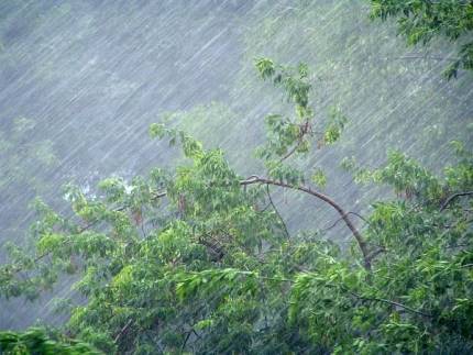 МЧС предупреждает глазовчан об усилении ветра и сильных дождях