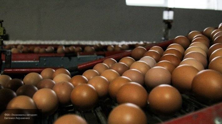 Большая авантюра с украинскими яйцами в Латвии обречена на провал