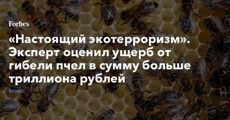 «Настоящий экотерроризм». Эксперт оценил ущерб от гибели пчел в сумму больше триллиона рублей