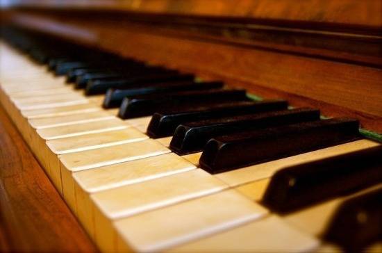 На Дальнем Востоке могут начать производство пианино