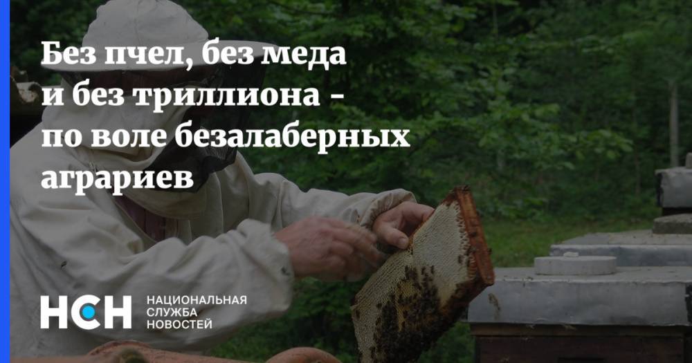 Без пчел, без меда и без триллиона - по воле безалаберных аграриев