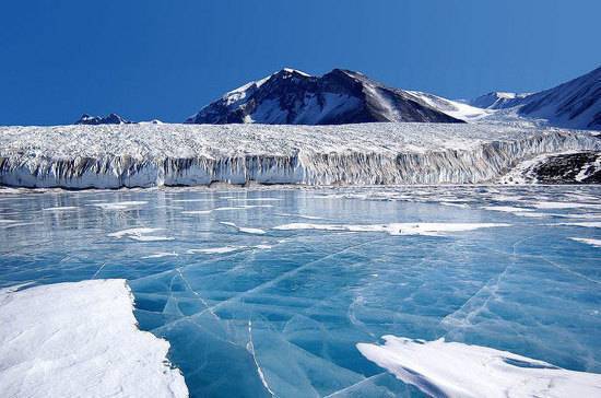 Петербургские депутаты предложили отмечать День открытия Антарктиды