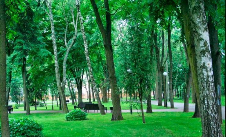 В Гомеле предлагают обсудить схемы озеленения территорий городских районов
