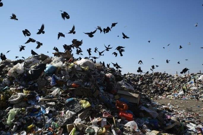 Стоимость вывоза мусора может зависеть от числа контейнеров