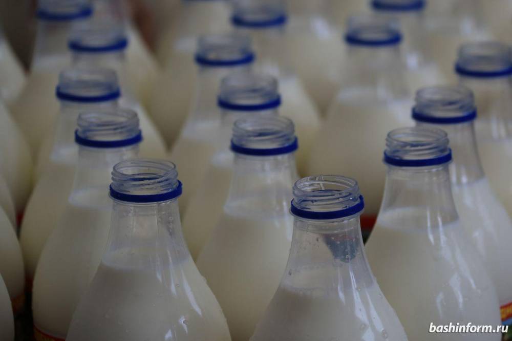 Магазины Башкирии проверят, как они разделяют на полках молоко и его заменители // ЭКОНОМИКА|ДЕНЬГИ | новости башинформ.рф