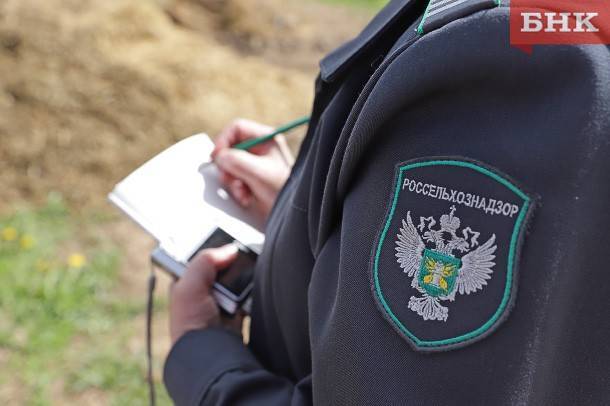 В Ухте осудили экс-инспектора Россельхознадзора за покровительство «Зеленому лесу»