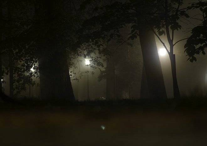 Ночью и утром в Рязанской области ожидается туман