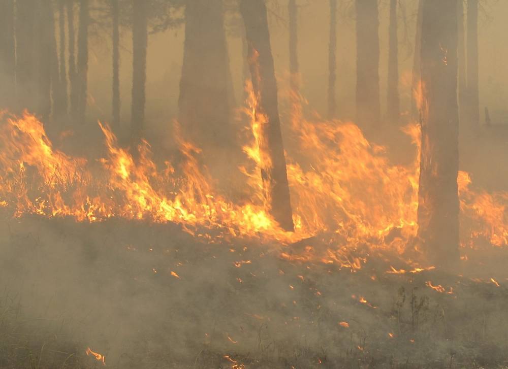 На севере Бурятии почти две недели не могут справиться с лесными пожарами - infpol.ru - респ.Бурятия - Байкальск - район Хоринский - район Северо-Байкальский