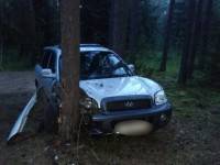 В Тверской области на турбазе водитель кроссовера разогнался и врезался в сосны - ТИА