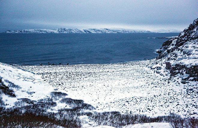 Российские компании потерпели фиаско в освоении Арктики