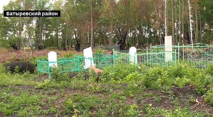 В Батыревском районе уборка на кладбище закончилась пожаром