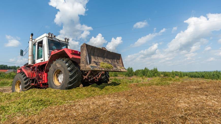 Нижегородские фермеры получат гранты на 100 млн рублей