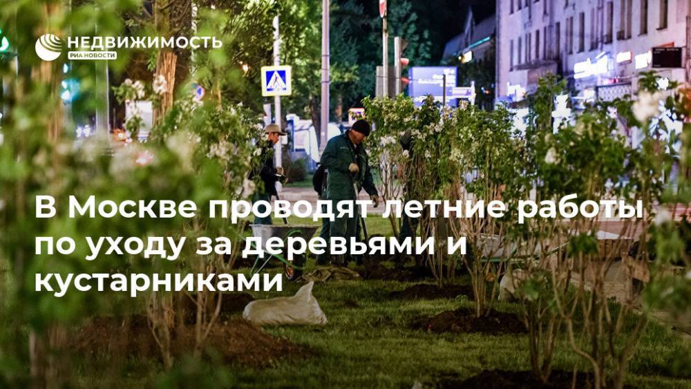 В Москве проводят летние работы по уходу за деревьями и кустарниками