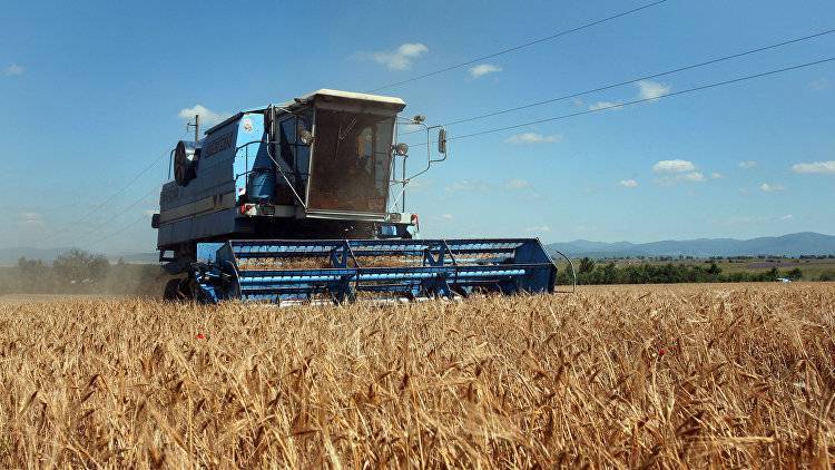 Аграрии Крыма намолотили 1,3 миллиона тонн зерновых