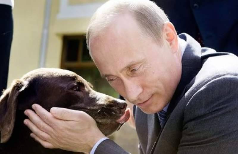 Задержан "друг Кудрина" и владелец лабрадора, подаренного Путина
