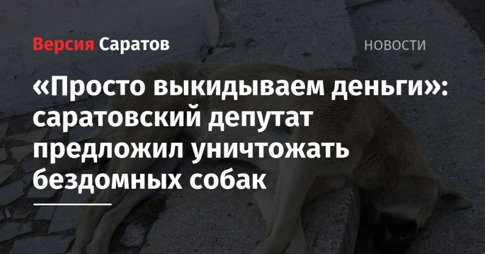 «Просто выкидываем деньги»: саратовский депутат предложил уничтожать бездомных собак