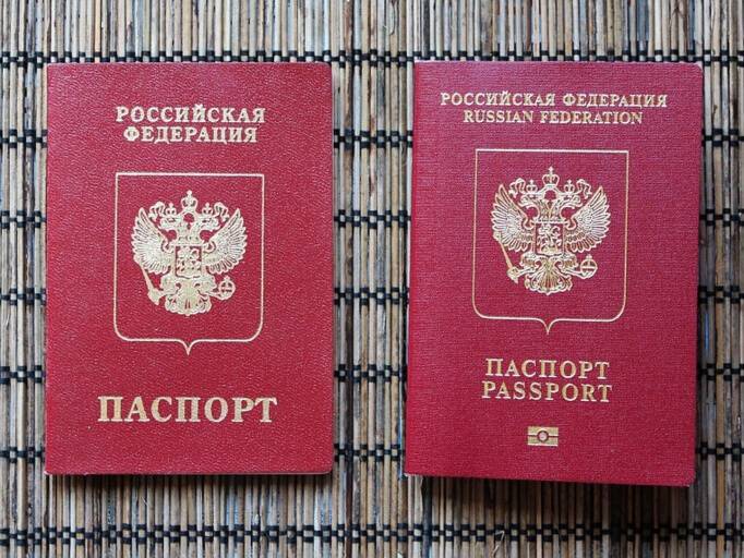 Вычислить жителей ЛНР и ДНР по паспортам РФ будет невозможно: в их документах не будет информации о прежнем гражданстве