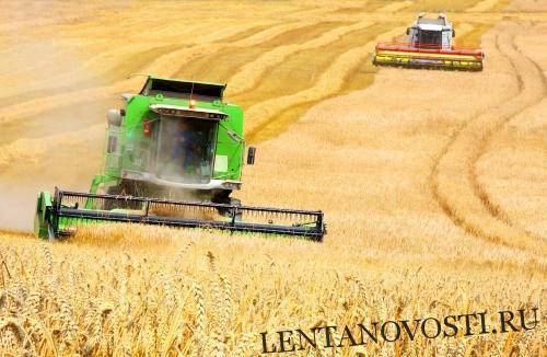 Эксперты в очередной раз снизили прогноз сбора зерна в России из-за жаркого июня
