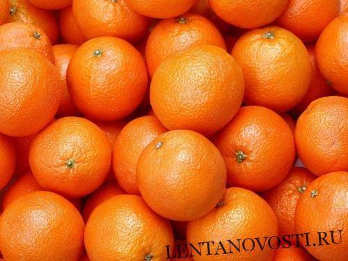 В Россию не пустили зараженные апельсины из Египта